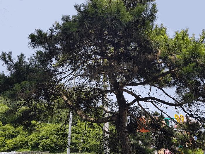 2025타경391 법원경매 사진12 | 전남 무안군 노유자시설 경매