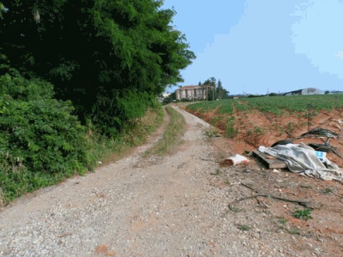 전라남도 무안군 망운면 목동리 248-46 법원경매 물건 대표사진