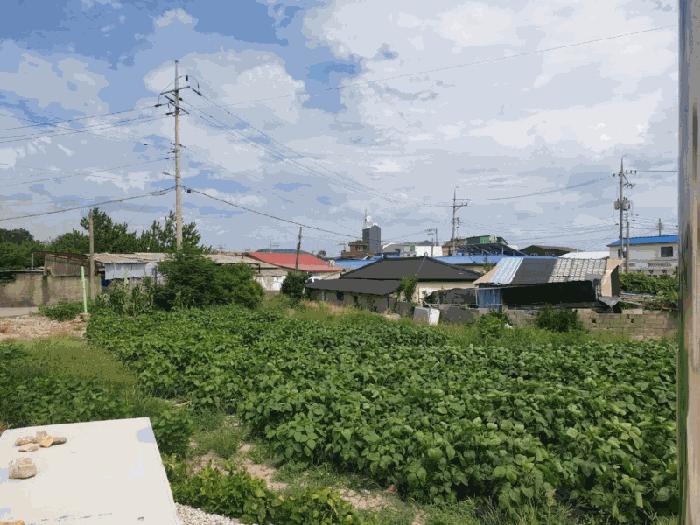 법원경매 2025타경454 사진4 | 무안군 해제면 신정리 226-1 답 경매