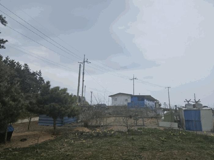 전남 신안군 지도읍 읍내리 928 대지 사진 4
