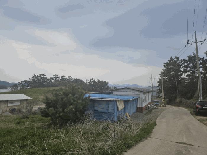 전남 신안군 지도읍 읍내리 928 대지 사진 5