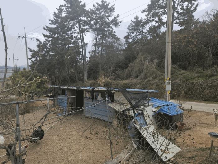 전남 신안군 지도읍 읍내리 928 대지 사진 6
