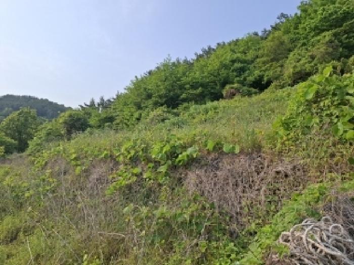 2025타경30808 법원경매 사진16 | 경남 남해군 임야 경매