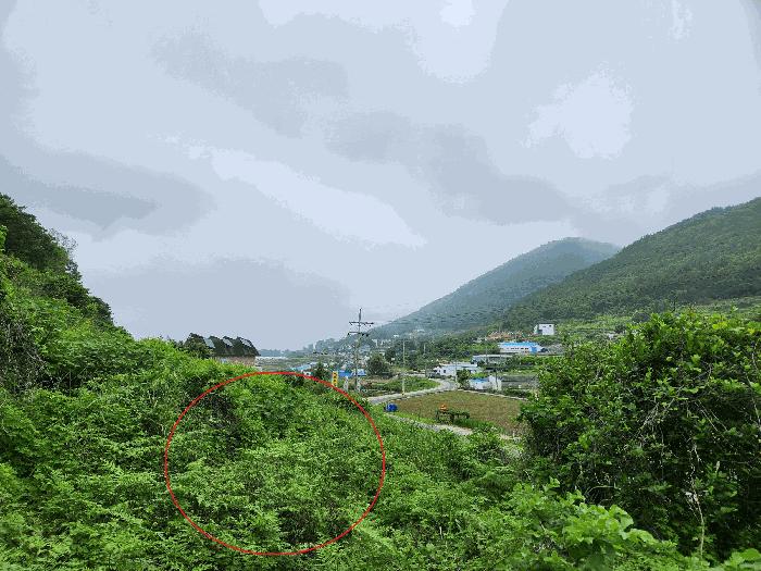 2025타경30808 법원경매 사진3 | 경남 남해군 임야 경매