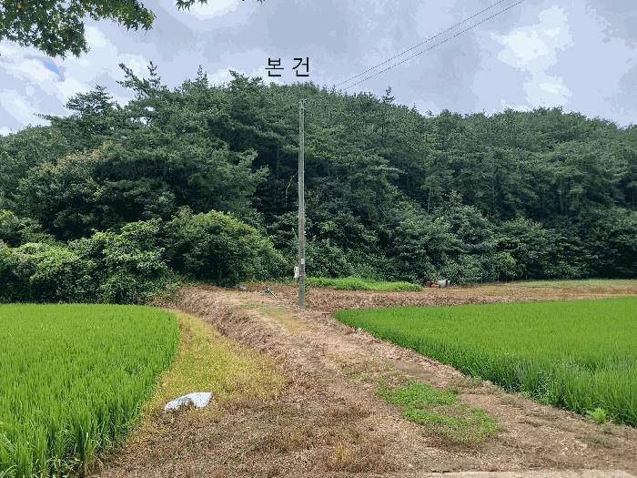 전라남도 함평군 신광면 삼덕리 산72 법원경매 물건 대표사진