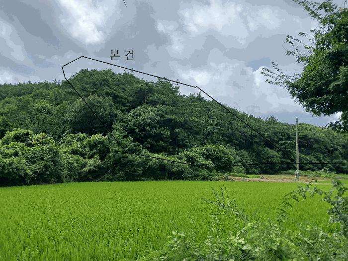 2025타경51218 법원경매 사진2 | 전남 함평군 임야 경매