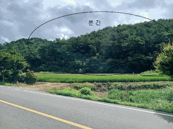 2025타경51218 법원경매 사진4 | 전남 함평군 임야 경매
