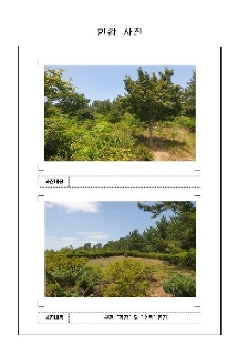 법원경매 2025타경51226 사진10 | 신안군 압해읍 분매리 임야 경매