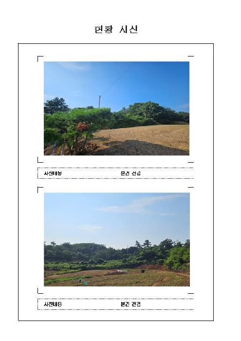 법원경매 2025타경51226 사진9 | 신안군 압해읍 분매리 임야 경매