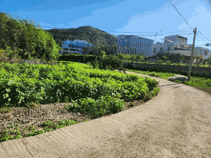 2025타경51266 법원경매 사진4 | 전남 목포시 전 경매