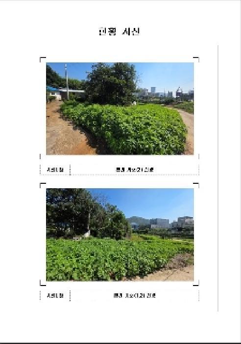 2025타경51266 법원경매 사진14 | 전남 목포시 대지 경매