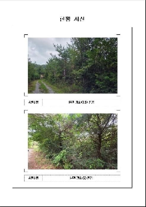 2025타경51282 법원경매 사진10 | 전남 함평군 임야 경매