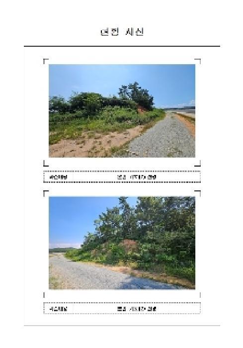 법원경매 2025타경51375 사진7 | 신안군 압해읍 신용리 511-1 임야 경매