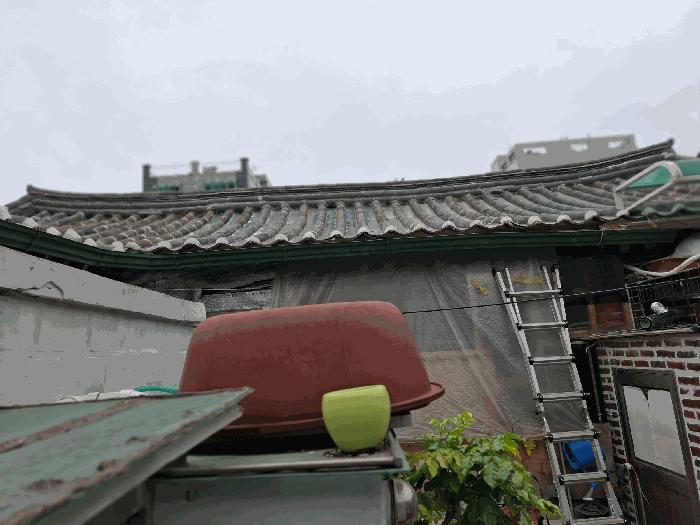 법원경매 2025타경1726 사진9 | 서울 동대문구 제기동 768-4 주택건물 경매