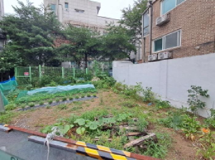법원경매 2025타경51637 사진7 | 서울 서대문구 창천동 97-84 대지 경매