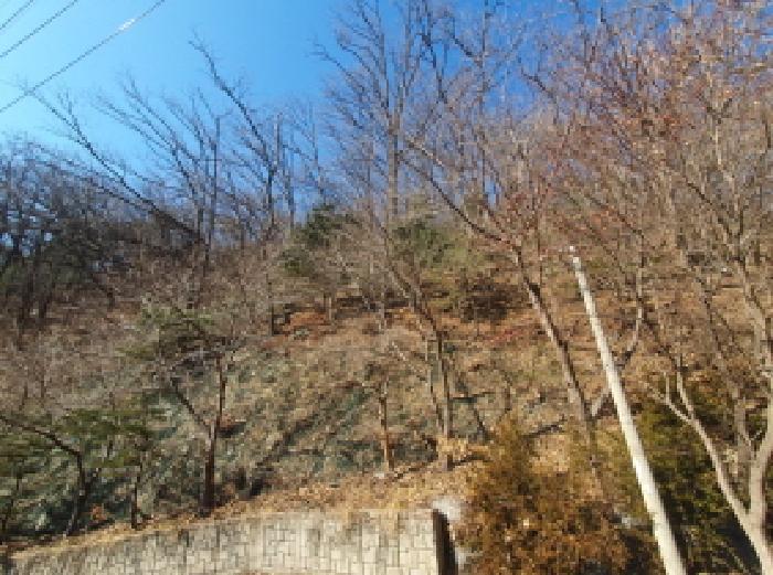 법원경매 2025타경70521 사진7 | 가평군 청평면 호명리 임야 경매