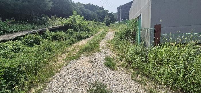 법원경매 2024타경85238 사진6 | 화성시 서신면 전곡리 423 답 경매