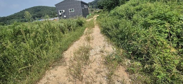법원경매 2024타경85238 사진2 | 화성시 서신면 전곡리 420-10 전 경매
