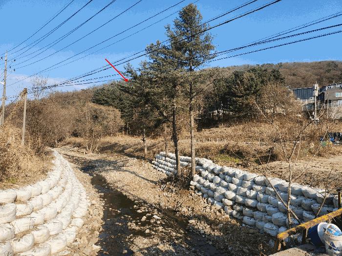 법원경매 2025타경73623 사진2 | 포천시 내촌면 신팔리 308-2 임야 경매