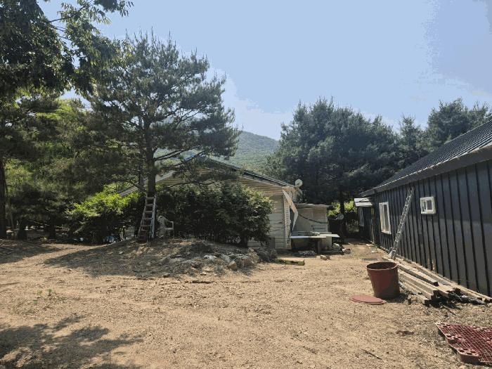 법원경매 2025타경63173 사진5 | 파주시 적성면 장현리 경기 파주시 임야 경매
