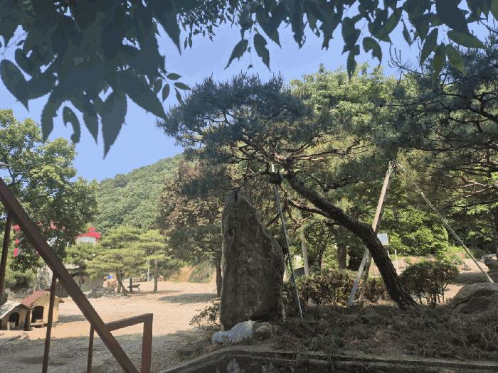 법원경매 2025타경63173 사진7 | 파주시 적성면 장현리 경기 파주시 임야 경매
