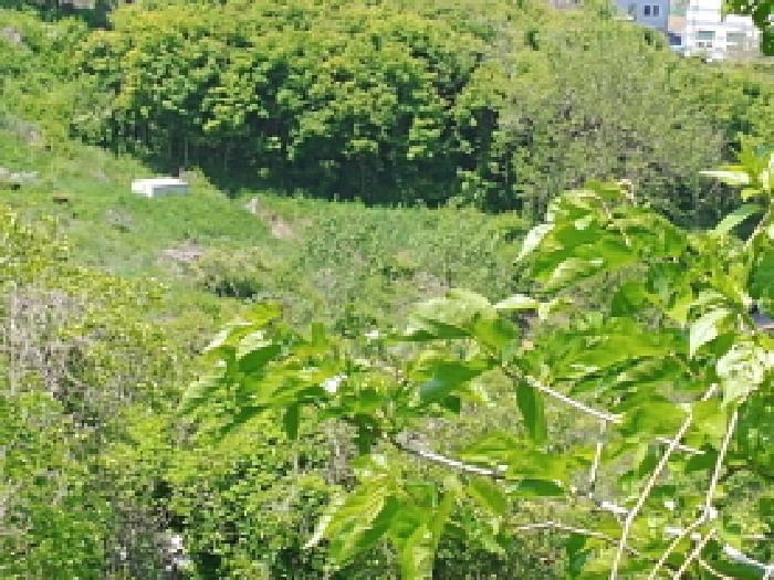 2025타경502404 법원경매 사진9 | 충남 금산군 전 경매