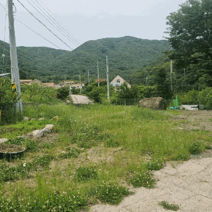 법원경매 2025타경8085 사진2 | 칠곡군 북삼읍 숭오리 1387-4 전 경매