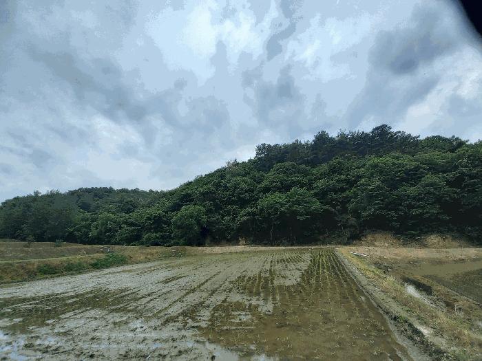2025타경1028 법원경매 사진2 | 충남 예산군 임야 경매