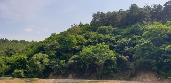 2025타경1028 법원경매 사진3 | 충남 예산군 임야 경매