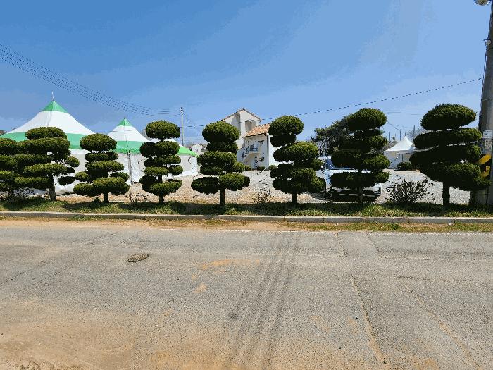 2025타경15615 법원경매 사진5 | 충남 서천군 대지,임야,전답 경매