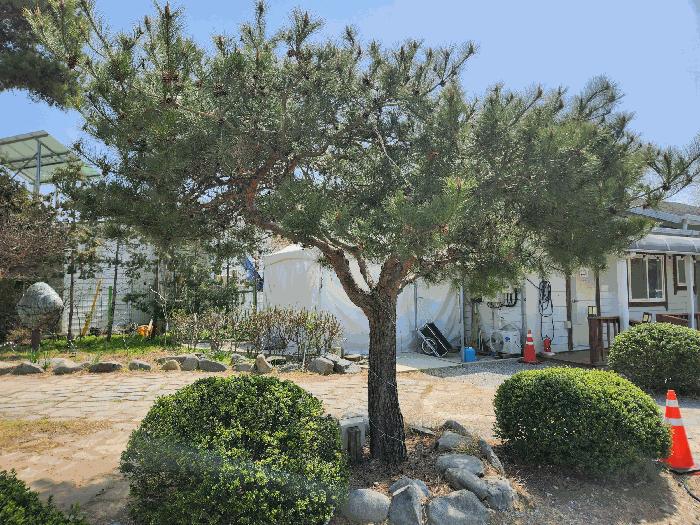 2025타경15615 법원경매 사진7 | 충남 서천군 대지,임야,전답 경매