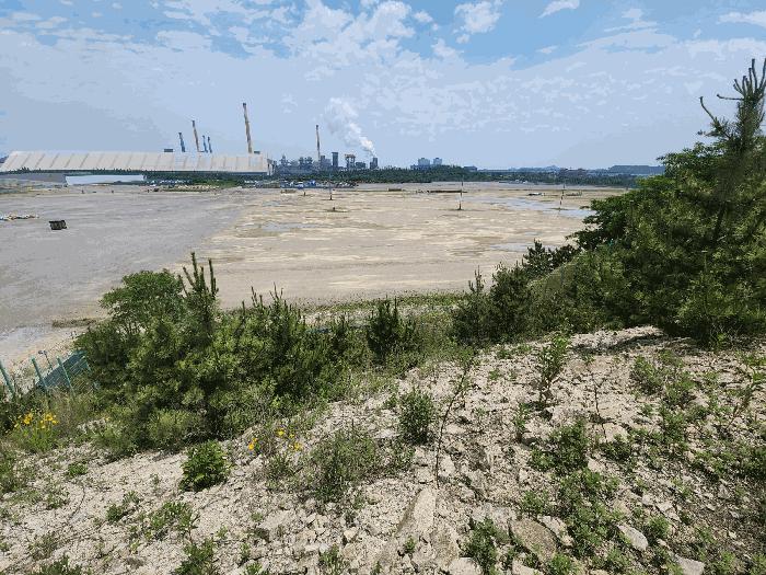 충청남도 당진시 송산면 가곡리 산11-3 법원경매 물건 대표사진
