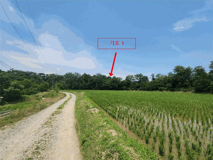 2025타경670 법원경매 사진2 | 충남 당진시 임야 경매