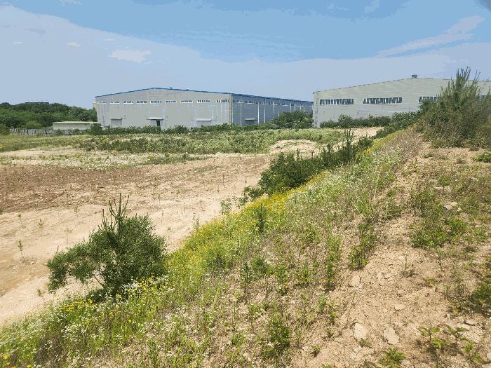 2025타경670 법원경매 사진5 | 충남 당진시 임야 경매