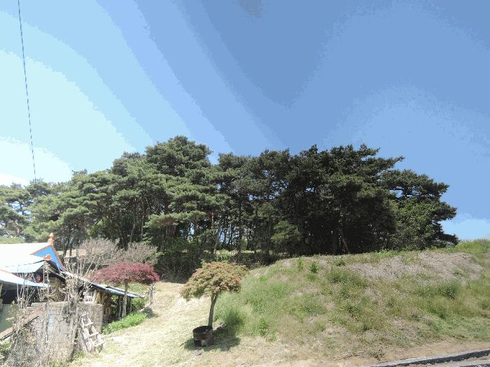 2025타경15678 법원경매 사진2 | 충남 홍성군 임야 경매
