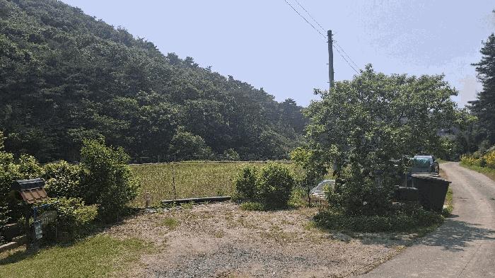 2025타경15704 법원경매 사진4 | 충남 보령시 임야 경매