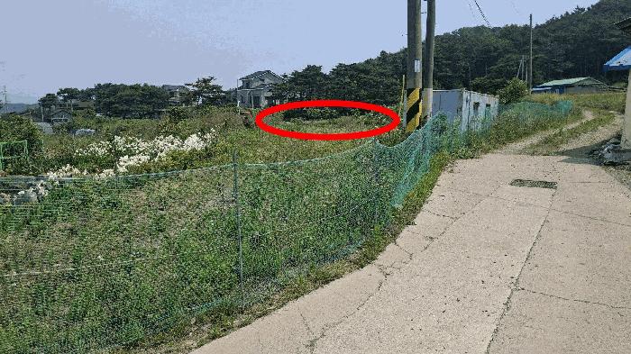충청남도 보령시 청소면 야현리 205-7 법원경매 물건 대표사진