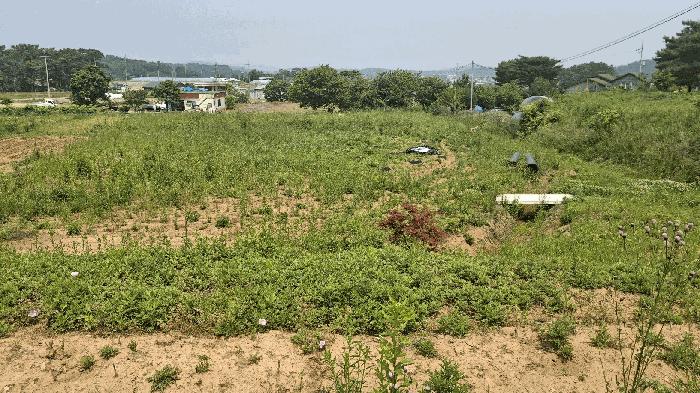 2025타경15729 법원경매 사진3 | 충남 보령시 전 경매