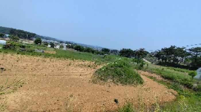 2025타경15729 법원경매 사진7 | 충남 보령시 전 경매