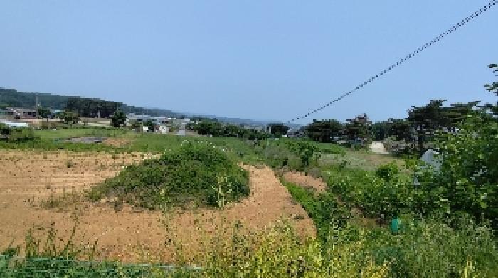 2025타경15729 법원경매 사진9 | 충남 보령시 전 경매