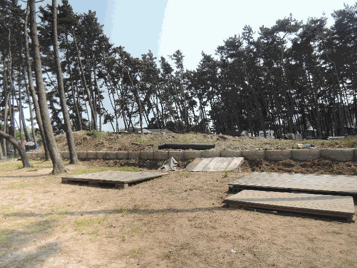 2025타경15736 법원경매 사진3 | 충남 서천군 대지 경매