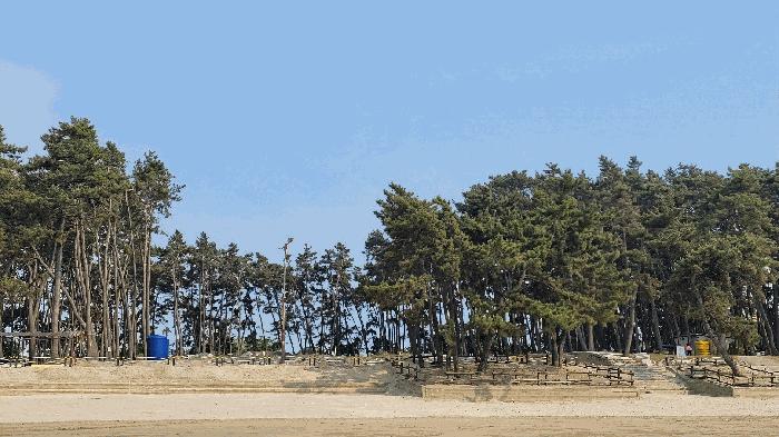 2025타경15736 법원경매 사진6 | 충남 서천군 대지 경매