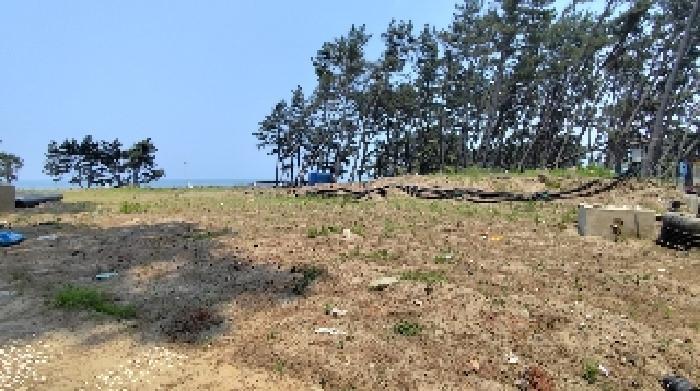2025타경15736 법원경매 사진8 | 충남 서천군 대지 경매