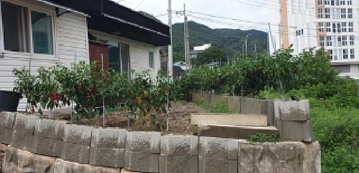 2025타경15883 법원경매 사진8 | 충남 예산군 주택건물 경매