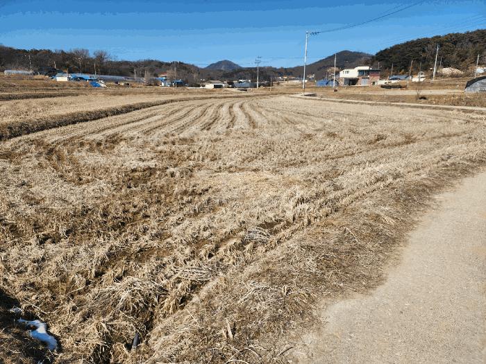 2025타경50968 법원경매 사진10 | 충남 당진시 답 경매
