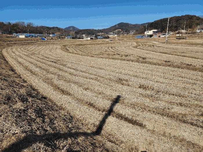 2025타경50968 법원경매 사진13 | 충남 당진시 답 경매