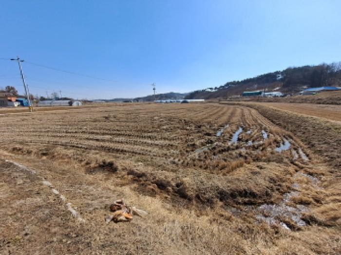2025타경50968 법원경매 사진21 | 충남 당진시 답 경매