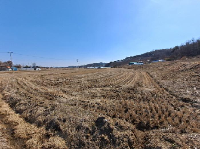 2025타경50968 법원경매 사진22 | 충남 당진시 답 경매