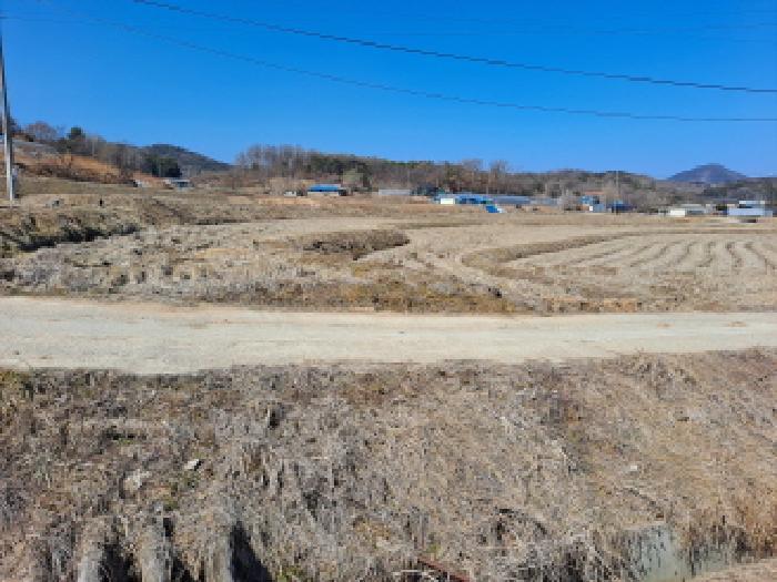 2025타경50968 법원경매 사진23 | 충남 당진시 답 경매