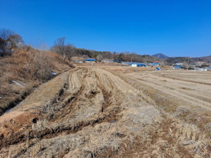 2025타경50968 법원경매 사진25 | 충남 당진시 답 경매